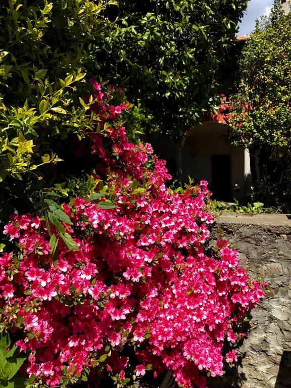 Casamariuccia Pension Massino Visconti Buitenkant foto