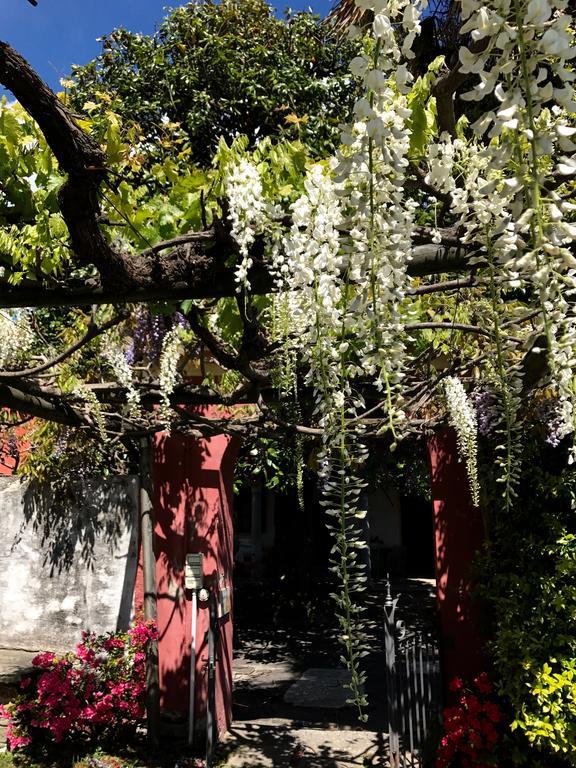 Casamariuccia Pension Massino Visconti Buitenkant foto