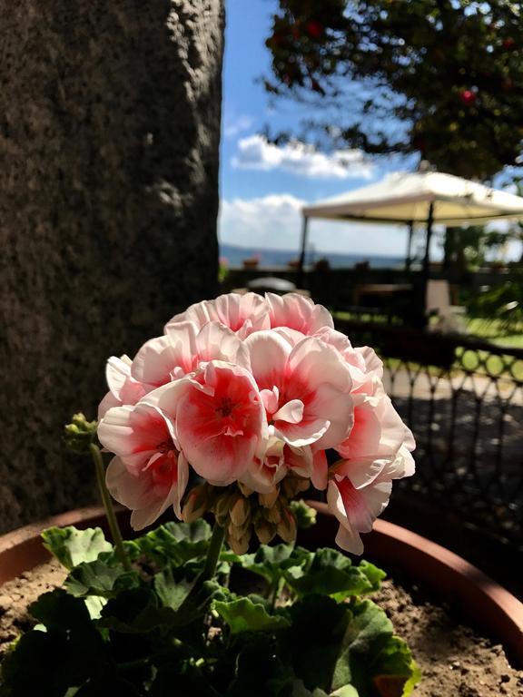 Casamariuccia Pension Massino Visconti Buitenkant foto